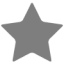 Icon Ster Grijs